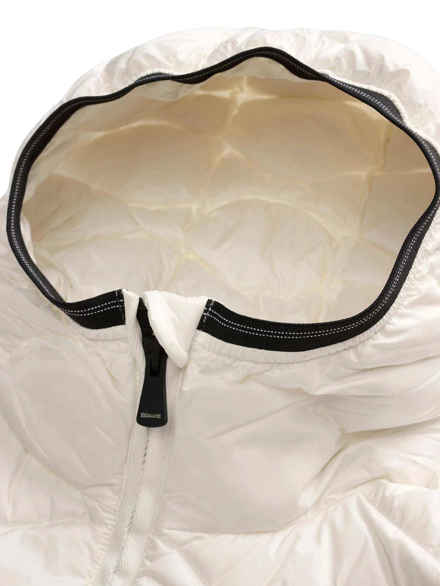 Camelia Down-Padded Jacket