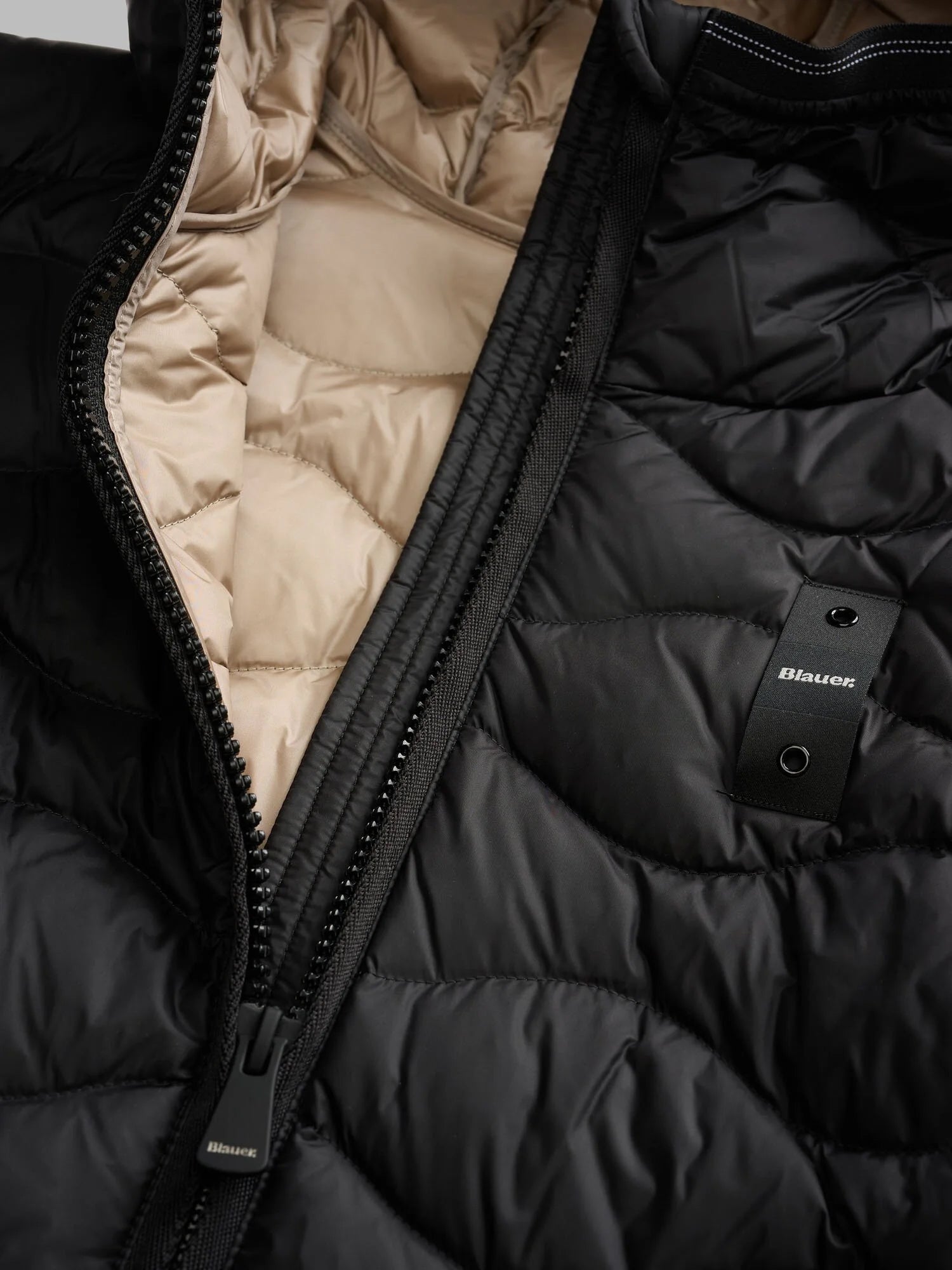Camelia Down-Padded Jacket