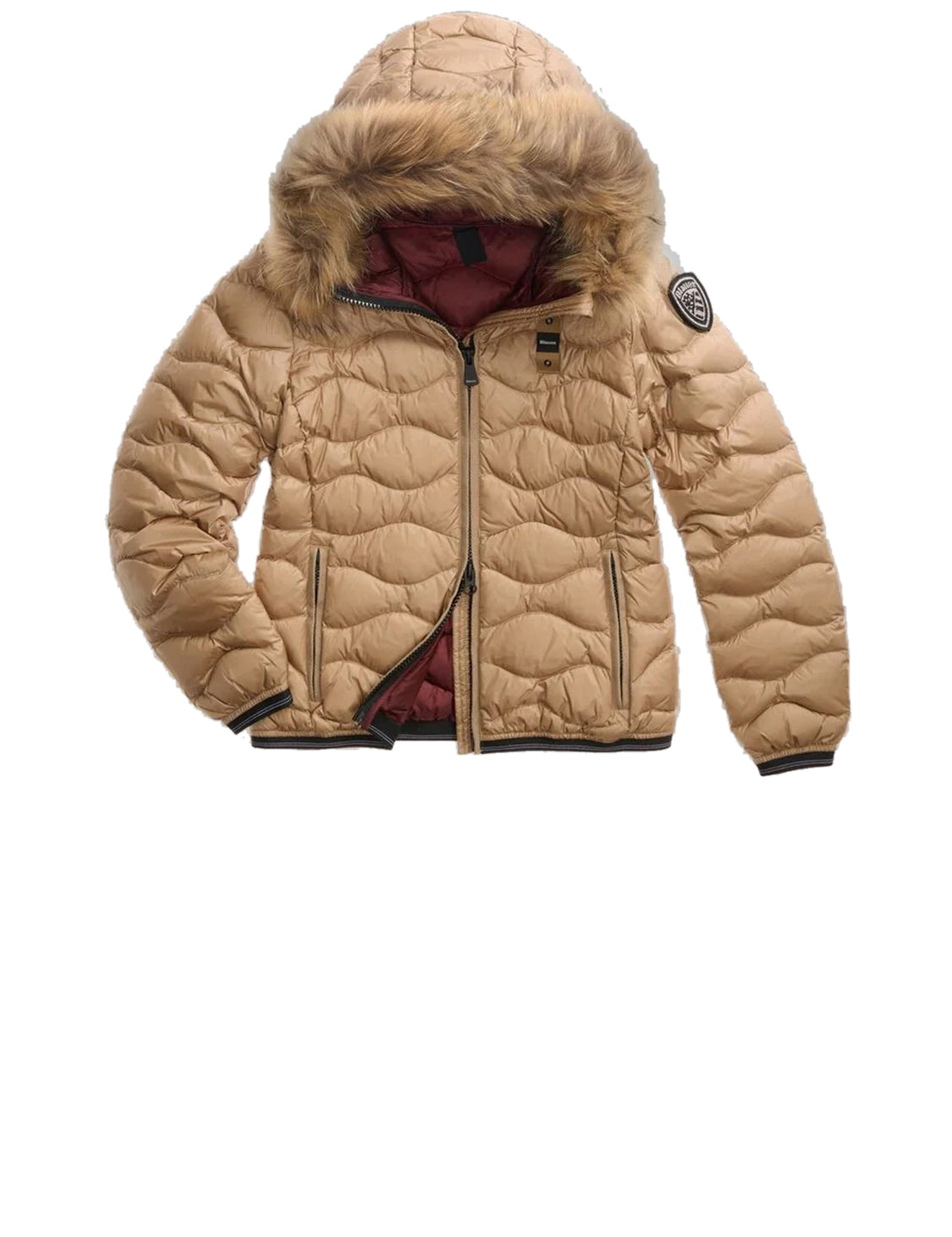 Aldie Down-Padded Jacket