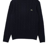 Carded wool cable-knit crew-neck sweater