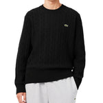 Carded wool cable-knit crew-neck sweater
