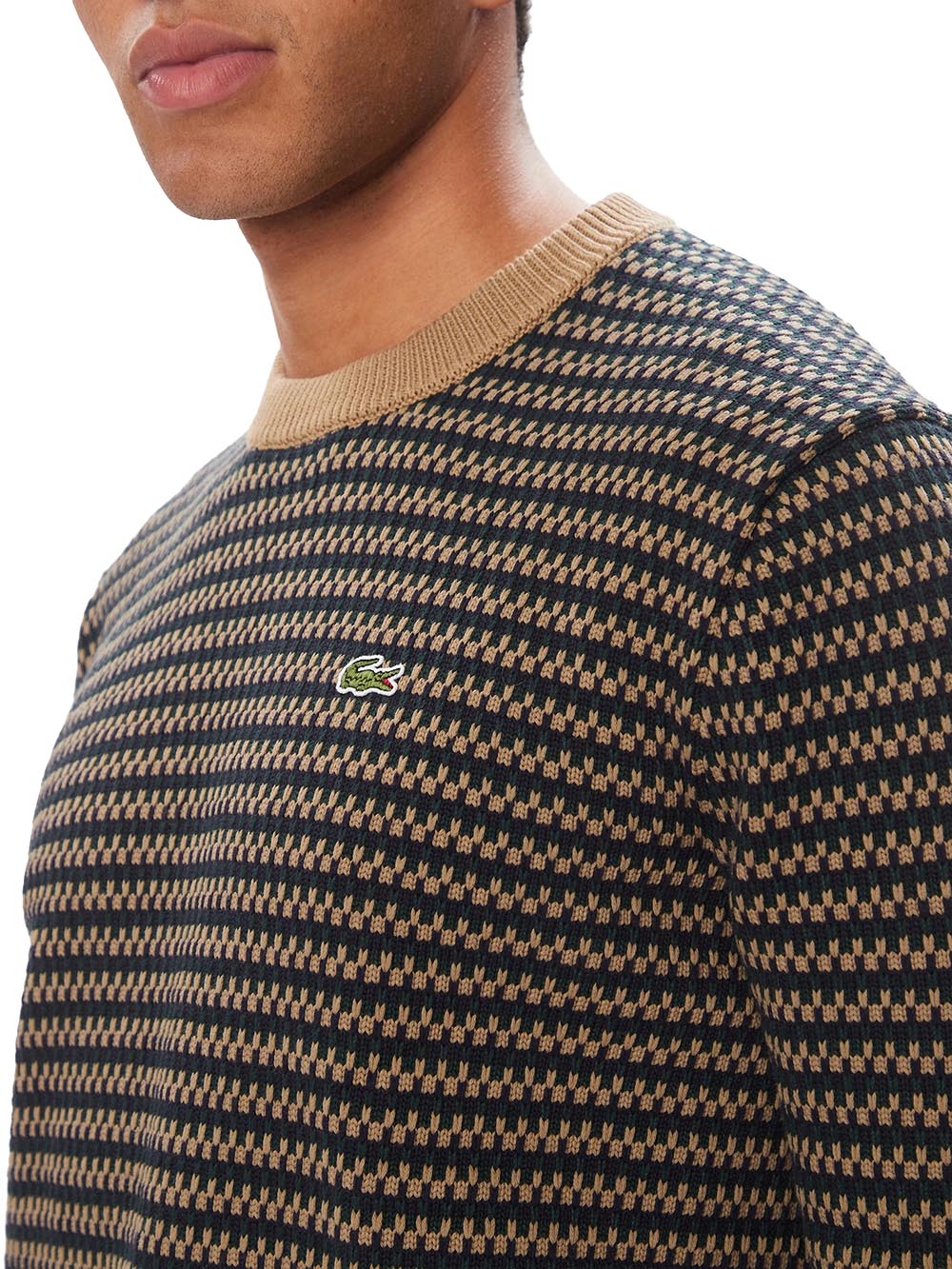 Maglione jacquard in cotone 