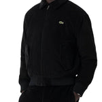 Padded corduroy bomber jacket