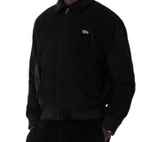 Padded corduroy bomber jacket